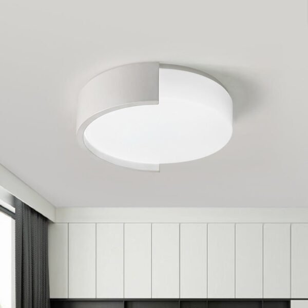 Circle Flush Mount Ceiling Light in White