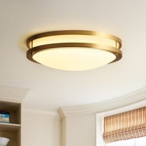 LED Metal Frame Flush Mount Ceiling Light
