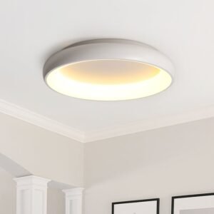 LED Round Flush Mount Ceiling Light