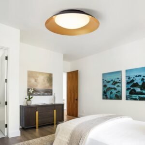 LED Saucer Flush Mount with Acrylic Diffuser