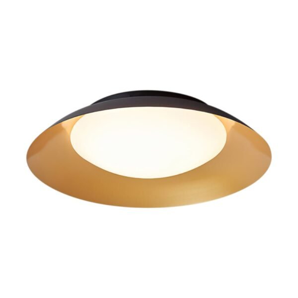 LED Saucer Flush Mount with Acrylic Diffuser - Image 4