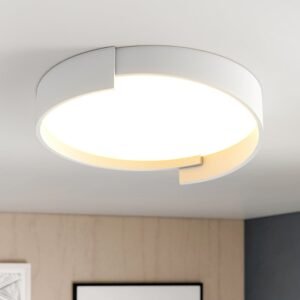 Minimalist LED Thin Circular Flush Mount Panel Light