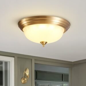 Modern LED Bowl Flush Mount