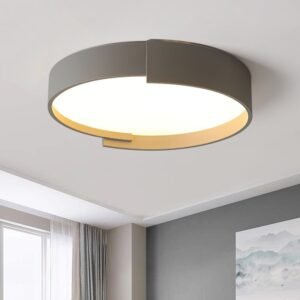 Simplicity LED Circular Panel Light Thin Flush Mount