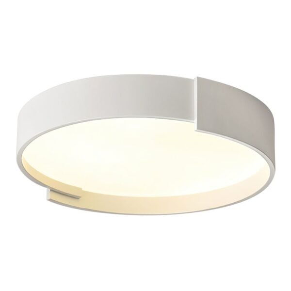 Simplicity LED Circular Panel Light Thin Flush Mount - Image 4